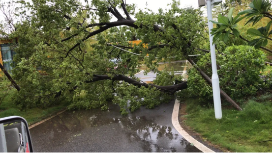 1605594862613901.png image.png