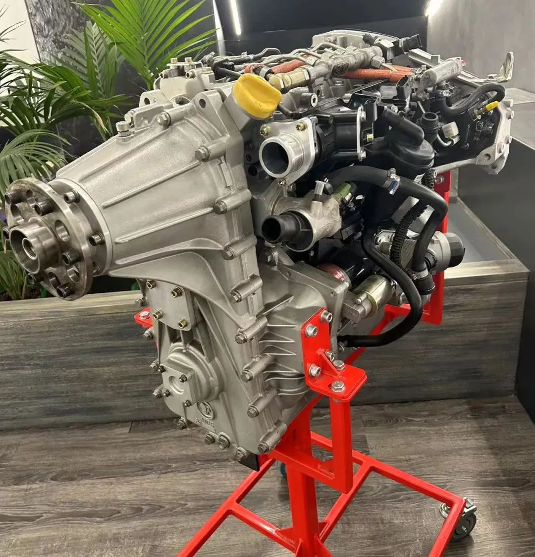 1715070135248294.jpg 1.jpg