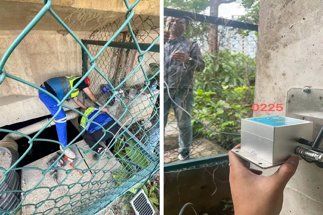 1741162593421781.jpg 4.jpg